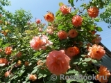 Westerland Westerland