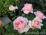 Abraham Darby Abraham Darby