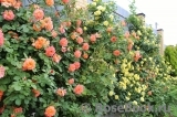 Westerland Westerland