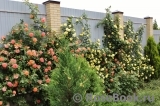 Westerland Westerland