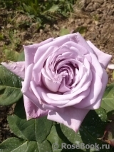 Lugdunum Lugdunum