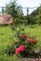 Rosarium Uetersen Rosarium Uetersen
