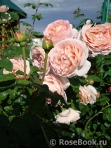 Abraham Darby Abraham Darby