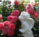 Rosarium Uetersen Rosarium Uetersen