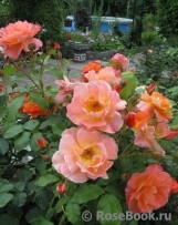 Westerland Westerland