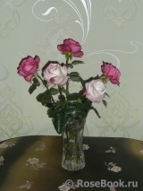 COMPOSITION