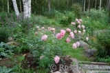 Sommerwind Sommerwind