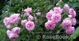 Alan Titchmarsh Alan Titchmarsh