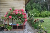 Rosarium Uetersen Rosarium Uetersen