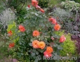 Westerland Westerland