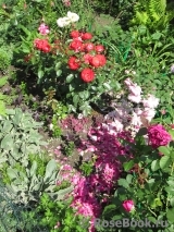Planten un Blomen® Planten un Blomen®
