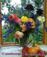 COMPOSITION COMPOSITION