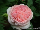 A Shropshire Lad A Shropshire Lad
