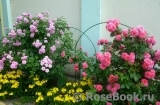 Rosarium Uetersen Rosarium Uetersen