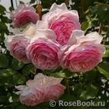 A Shropshire Lad A Shropshire Lad