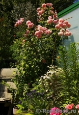 A Shropshire Lad A Shropshire Lad