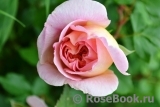 Abraham Darby Abraham Darby