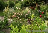 A Shropshire Lad A Shropshire Lad