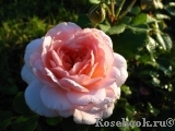 A Shropshire Lad A Shropshire Lad