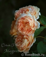 Crown Princess Margareta® Crown Princess Margareta®