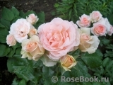 Johann Strauss Johann Strauss