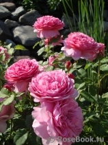 Princess Alexandra of Kent Princess Alexandra of Kent