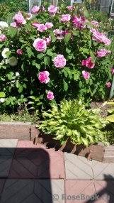 Gertrude Jekyll Gertrude Jekyll