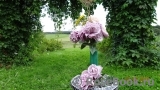 COMPOSITION COMPOSITION