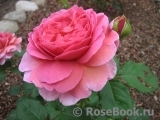 Princess Alexandra of Kent Princess Alexandra of Kent