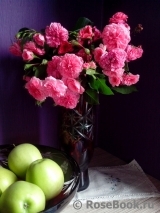 COMPOSITION COMPOSITION