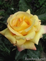 Catherine Laborde Catherine Laborde