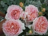 Abraham Darby Abraham Darby