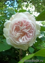 A Shropshire Lad A Shropshire Lad