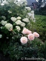 Abraham Darby Abraham Darby
