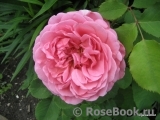 Princess Alexandra of Kent Princess Alexandra of Kent