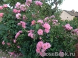 Sommerwind Sommerwind