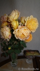 COMPOSITION COMPOSITION