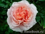 Abraham Darby Abraham Darby