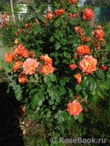 Westerland Westerland