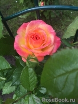 Gartenspass ® Gartenspass ®