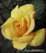 Especially for You Especially for You