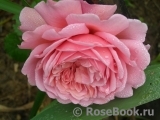 Princess Alexandra of Kent Princess Alexandra of Kent