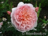 Abraham Darby Abraham Darby