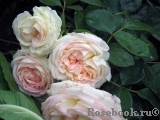 Biedermeier Biedermeier
