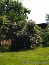 A Shropshire Lad A Shropshire Lad