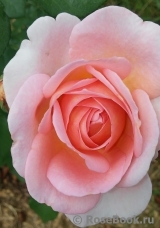 Abraham Darby Abraham Darby