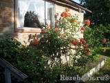 Westerland Westerland