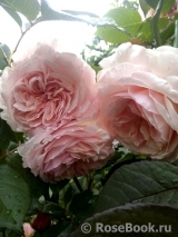 A Shropshire Lad A Shropshire Lad