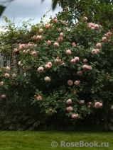 A Shropshire Lad A Shropshire Lad