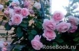 A Shropshire Lad A Shropshire Lad